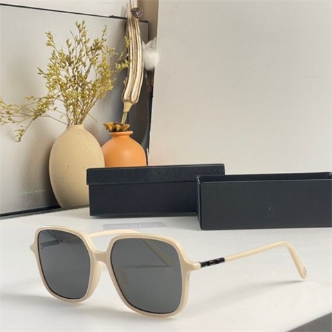 dior sunglass-056